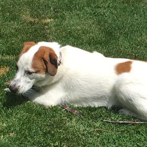 Meet your Posher, Abby